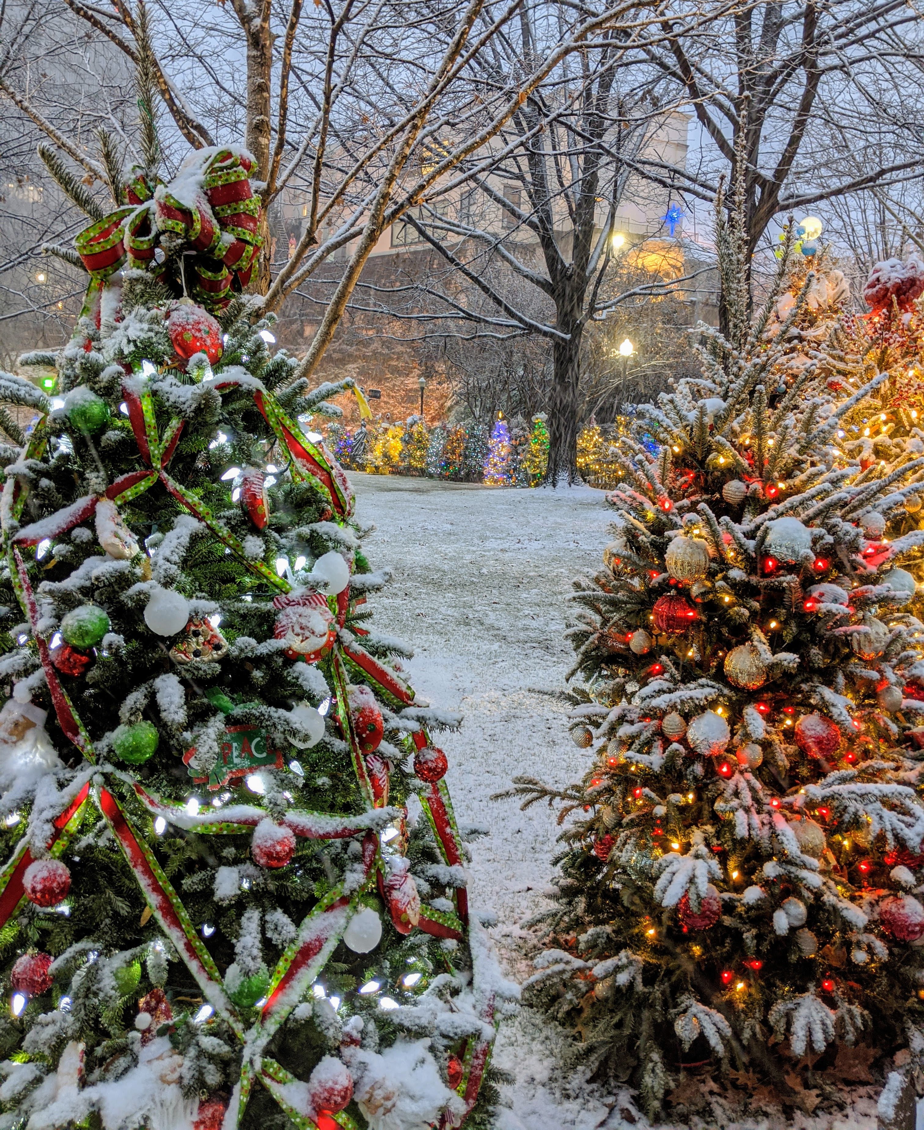 Tinsel Trail 2021